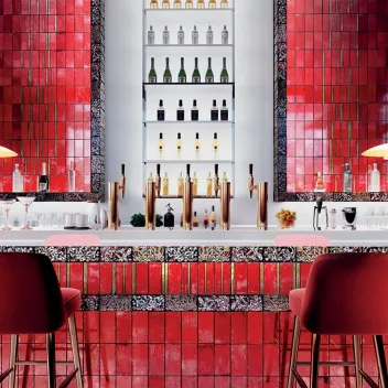 Decor tiles Metallica Selenium Topline 10x20 Cm 2