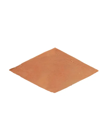 Handmade terracotta tiles with treatment rhombus 12,5x25 cm
