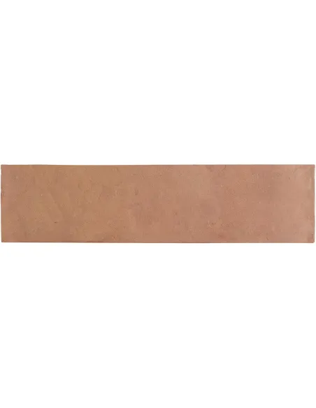 Mosaïque Terre Cuite Artisanale Micro Ecologica 5x20 Cm