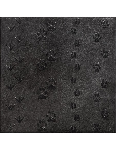 Piastrella Decorativa Magma Orme 20x20 cm