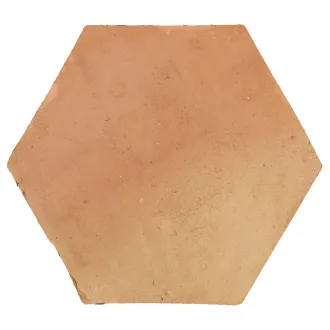 Cotto fatto a mano Esagono con trattamento 20x23 cm 2