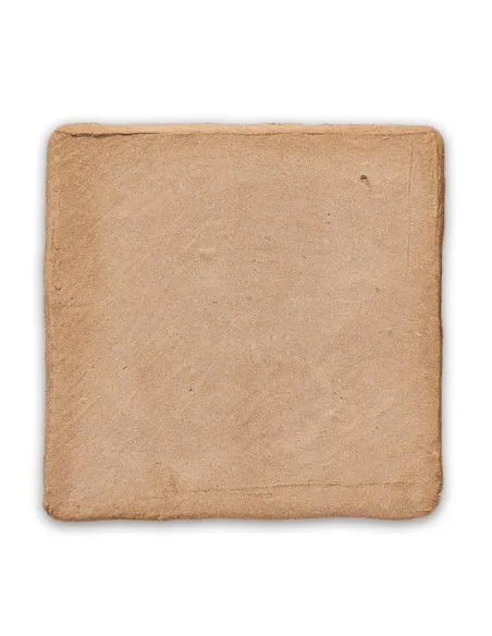 Color Harmony Beige 10x10