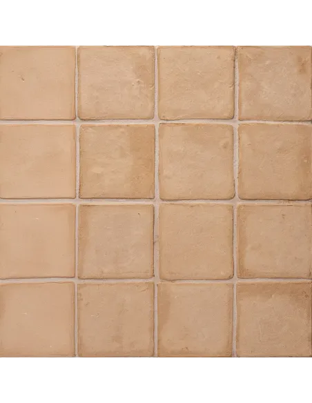 Color Harmony Beige 10x10