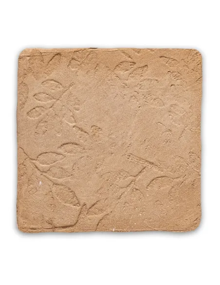 Color Harmony Beige Rilievo 10x10