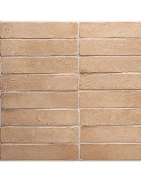 Color Harmony Beige 6x30