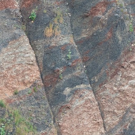 Our Territory as Inspiration: The Spontaneous Beauty of Nature in the Clays of the Emilian Hills